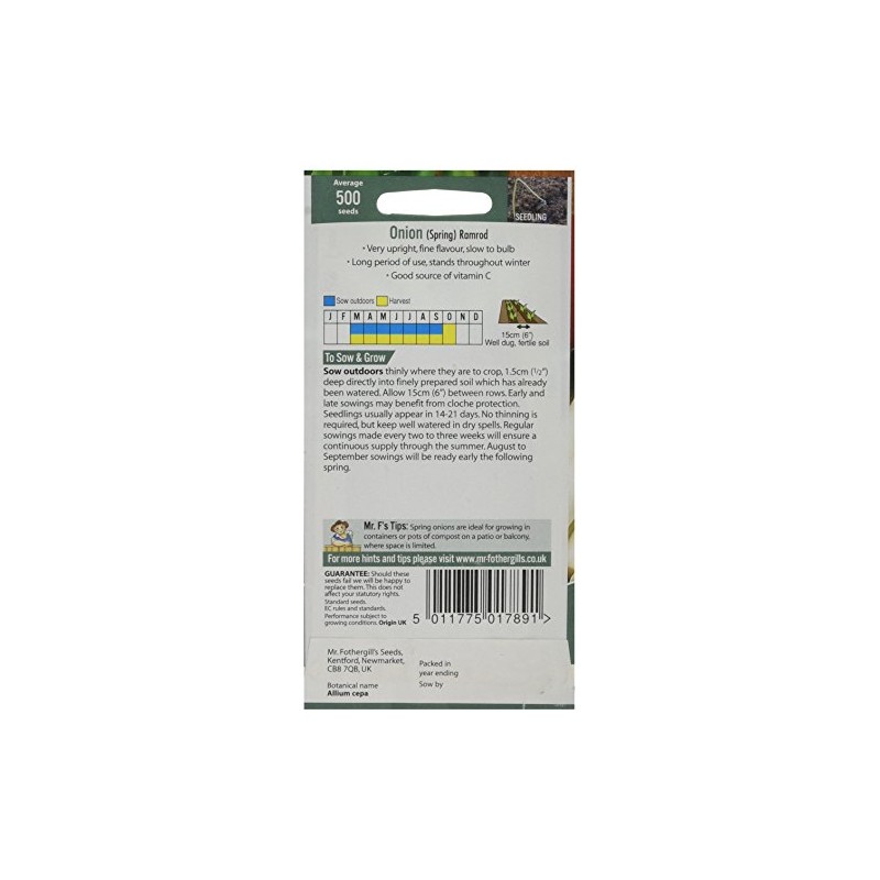 Mr Fothergill's 21423 Vegetable Seeds, Onion (Spring) Ramrod