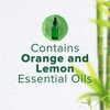 Citrus Magic Ambientador sólido absorbente de olores, bosque lluvioso de