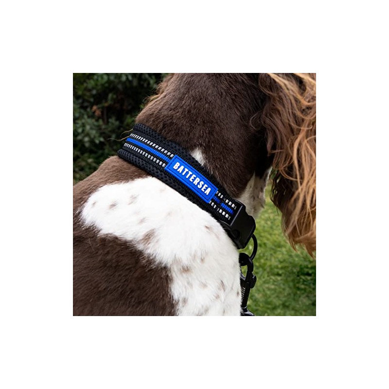 Battersea Reflective Dog Collar Blue S