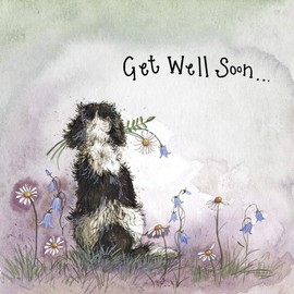 ALEX CLARK Get Well Soon Spaniel Dog Foil Card - Canine - Floral - Nature - Plants - Sympathy Card - Well Wishes Card - Designed and Printed in the UK…