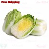 Treevale Napa cabbage, Kimchi cabbage, Chinese Cabbage, Dàbáicài seeds |