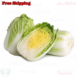 Treevale Napa cabbage, Kimchi cabbage, Chinese Cabbage, Dàbáicài seeds | Non-GMO, Organic - 1k Seeds or 1/8 OZ W/Tracking