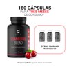 Arándano Concentrado 50:1 de 180 Cápsulas con Vitamina C. Ingredientes