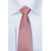 Retreez Check Textured Woven Microfiber Men's Tie Necktie - Red