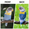 cobee Pet Harness and Lead Adjustable for Parrots Bird Training