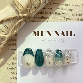 Snowy Meadow Nail Tips - Long Point / 눈내린초원 네일팁 - 롱포인트