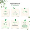 Vitabay Natural Astaxanthin 12 mg High Dose – Vegan and