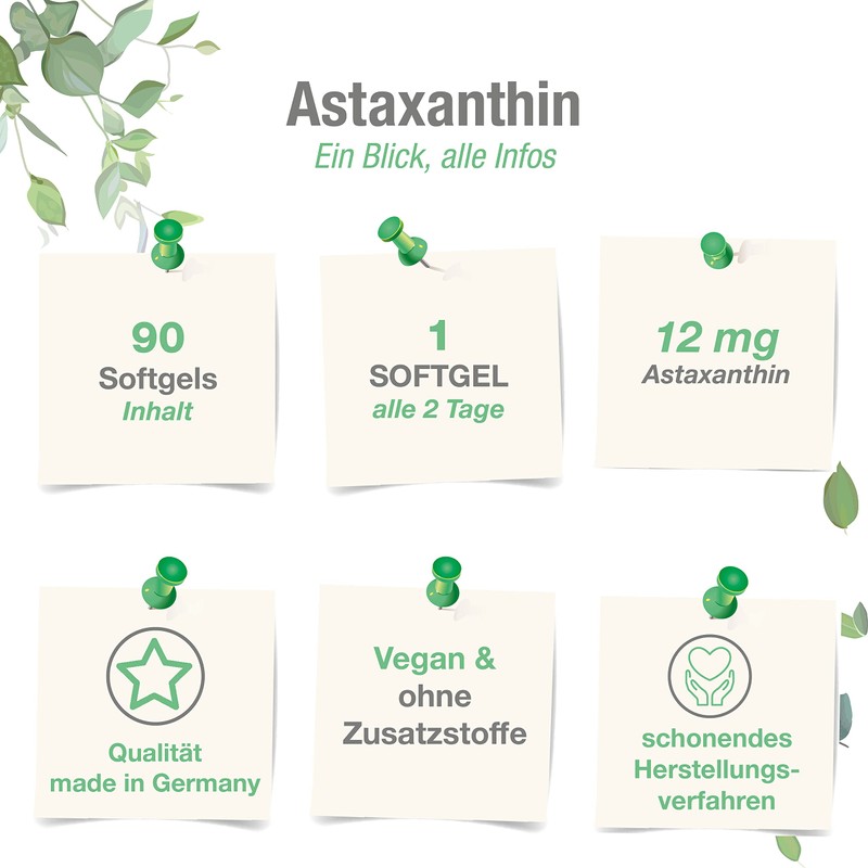 Vitabay Natural Astaxanthin 12 mg High Dose – Vegan and