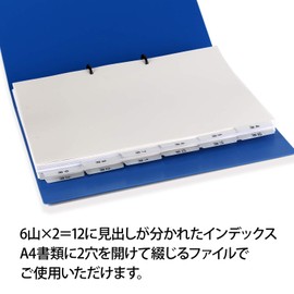 Plus 98080 Nursing Care User Medical Record Index, 12 Months (Starting April, 6 Mountains x 2)