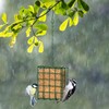 Bird Feeder for Outdoors, Suet Feeder for Outside Hanging Suet