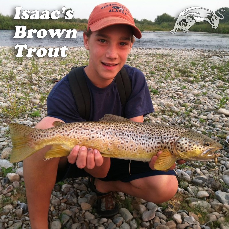 Panther Martin PMAS_1 Classic Patterns Fishing Teardrop Spinner Lure -