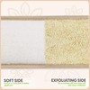 Almooni Natural Egyptian Loofah Back Scrubbers for Use in Shower,