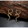 Sanfenly G23 Titanium Snake Earrings for Women Snake Dangle Drop