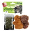 Catnip GiGwi wiederaufladbares Eichhörnchen-Katzengrasspielzeug, farbenfrohes attraktives Design, langlebig und leicht