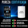BHP NUTRITION- CREATINA MONOHIDRATADA ALTA PUREZA SABOR ARANDANO 490 GRS
