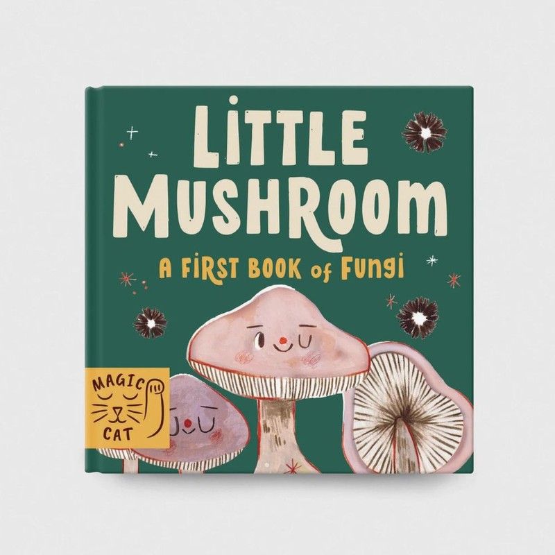 Books 5 Minute Nature Story Box