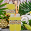 Coco Mango Fragrance Body Oil Essential Perfume Oil Uncut in