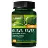 DetoxenNATURE Digestion Support Herbal Supplement Extract with Guava Leaves for