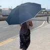 Sykrawki Windproof Inverted Umbrella with 10 Ribs, Automatic Open/Close, Compact,