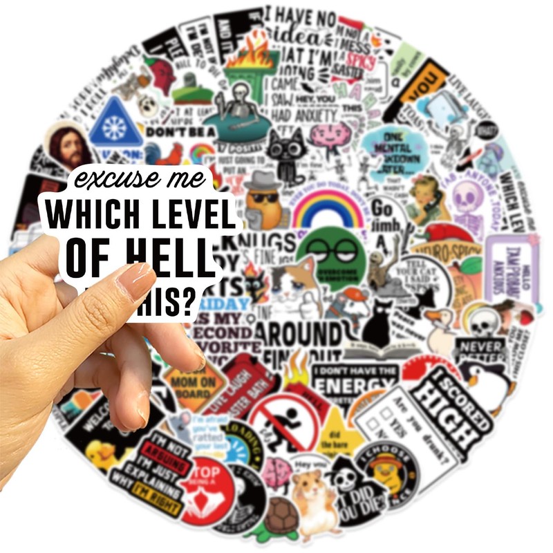 100 Packs Prank Meme Stickers Water Bottles Laptop Phone Motorcycle