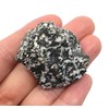 EISCO 12PK Raw Diorite, Igneous Rock Specimens - Approx. 1"