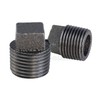 SUPPLY GIANT CNQM4000 Black Malleable Iron Plug with Square Head,