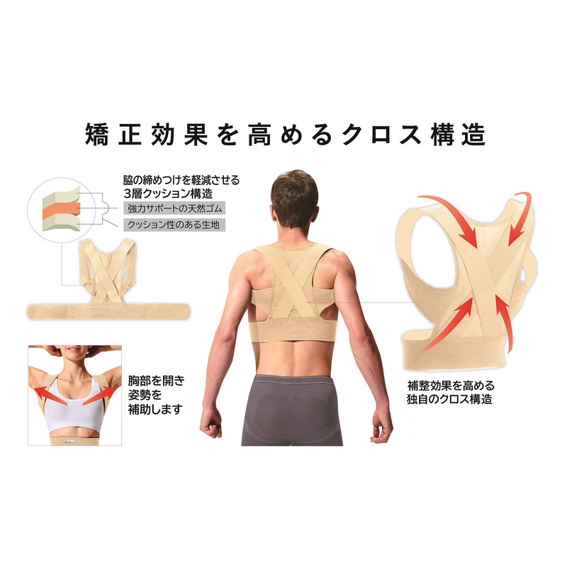 中山式 脊椎医学 キョウセイベルト メッシュ Mサイズ ウエスト 65~85cm 身長 155~165cm