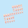 Bee Daisy Press on Nails Short Almond Nude Fake Nails