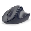 ELECOM Wireless Mouse EX-G, Silent, 2.4GHz Wireless, Antibacterial, Black, M-Size,