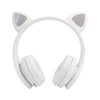 LED Noise Reduction Headset Cat Ear Shape Bluetooth 5.0 Headset