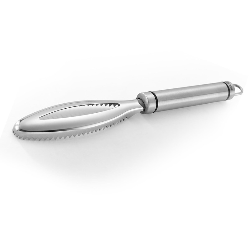 Fish Scaler Tool Stainless Steel Fish Scaler Remover No Mess,