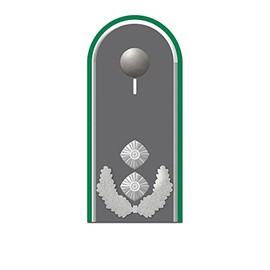 Lieutenant Colonel Shoulder Flap German Army Rank Sticker 10 x 4 cm #A5567