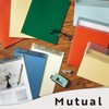 Lihit Lab Mutual Clear Book A4 S Shape, 40 Pockets,