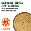 LEM Backwoods Teriyaki Seasoning with Cure Packet ,1 oz.