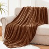Exclusivo Mezcla Soft Throw Blanket, 127 x 178 CM Fleece