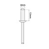 (Pack of 80) Varnished Blind Rivets 4.0 x 12 mm,
