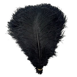 MELADY® Pack of 50pcs Natural Ostrich Feathers 12-14inch(30-35cm) for Home Wedding Party Decoration (Black)