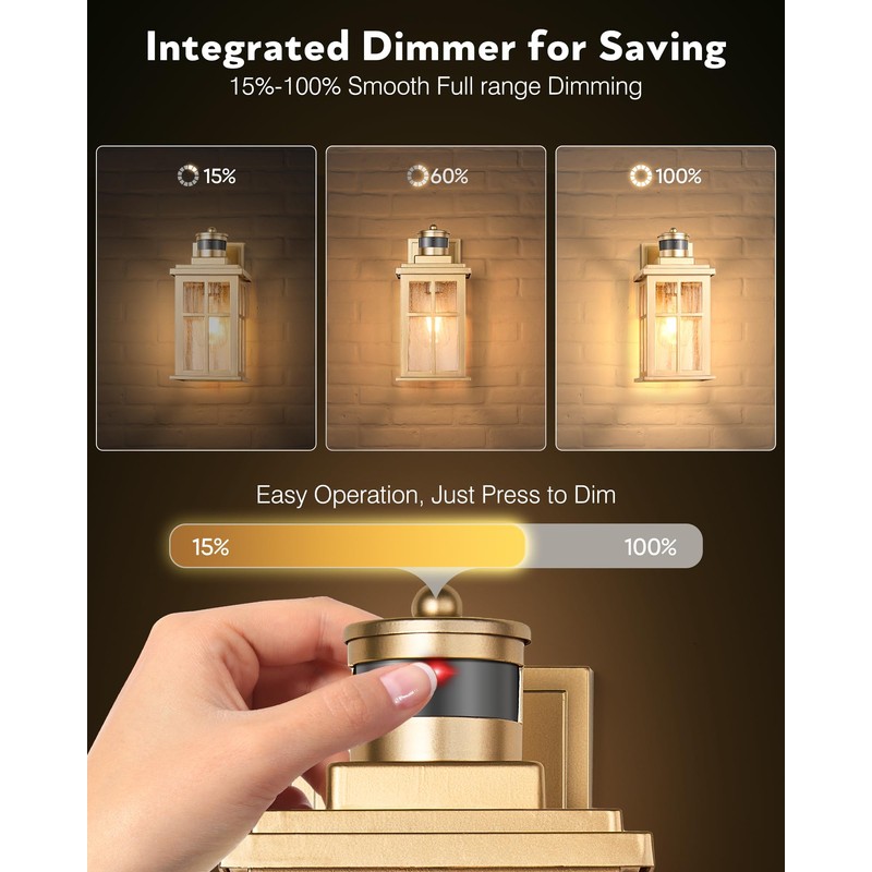 VIANIS 2 Pack Motion Sensor Outdoor Wall Lights, Modern Gold