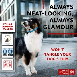 Rolled Leather Dog Collar for Small Dogs - Soft Padded Dog Collars for Medium Dogs - Puppy Collars for Large Breed Dogs - Male and Female Dog Collar