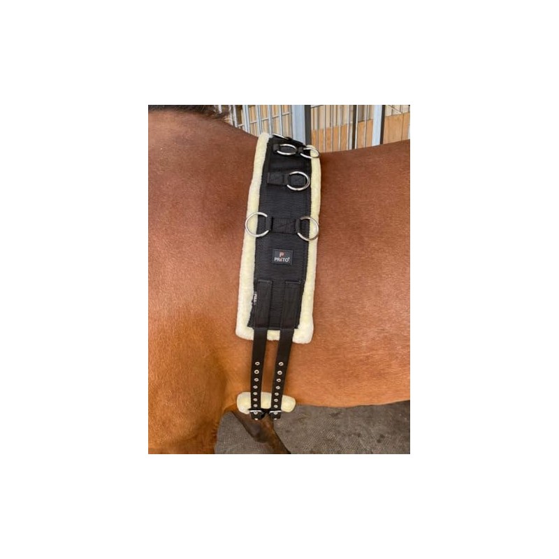 Preto Horse Training Body Roller or Lunging Girth Synthetic Nylon