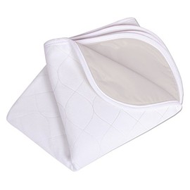 Carex Washable Waterproof Incontinence Pad - Chair Protector and Sofa Cover - 21 Inches x 22 Inches