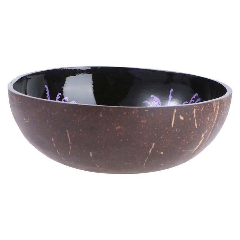 HEMOTON Coconut Bowls Natural Coconut Shell Bowl Decorative Key Storage