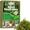 Halatool 6OZ Green Moss for Indoor Plants, 8QT Orchid Moss