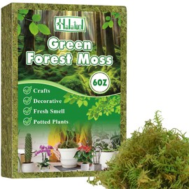 Halatool 6OZ Green Moss for Indoor Plants, 8QT Orchid Moss for Repotting, Forest Moss for Potted Plants, Real Moss for Succulent Carnivorous Houseplant Terrariums Garden Reptiles