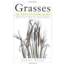 Grasses