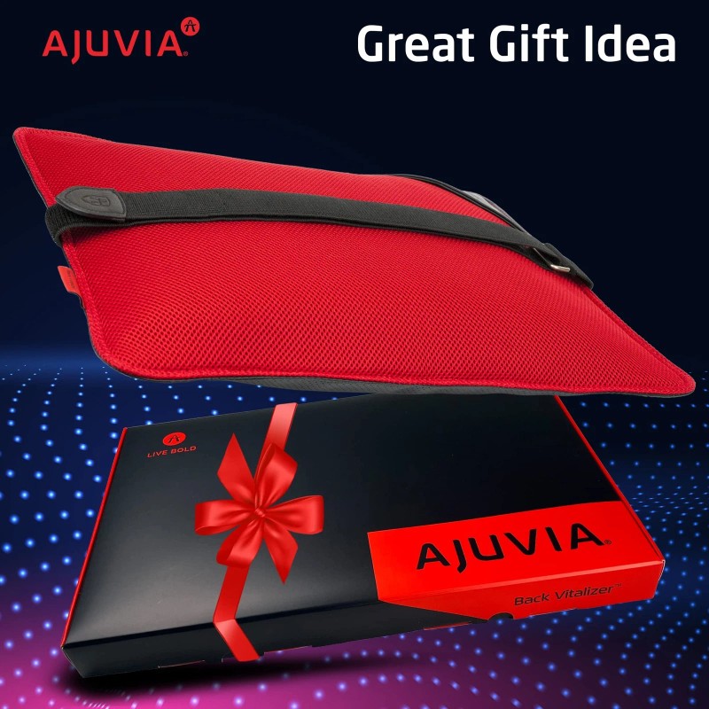 AJUVIA Back Vitalizer - Car Lumbar Support for Driving Seat