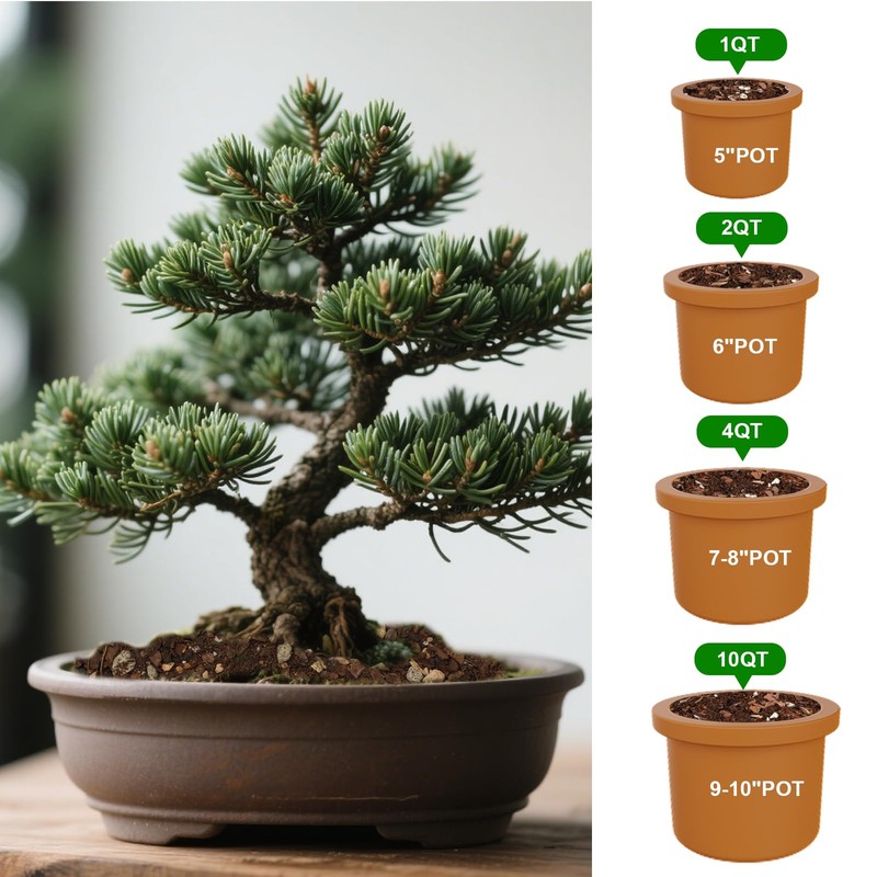 Doter Premium Bonsai Soil Mix with Enhanced Aeration & Drainage