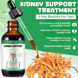 Specifically Formulated Kidney Support for Cats, Naturally Supports Healthy Kidney Function in Cats, Increase Immunity, Herbal Supplement Supports, for Kidney & Urinary Health, Energy & Appetite