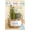 Kishima KH-61021 KH-61021 Eclar Deodorizer, Artificial Green
