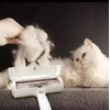 Generico Pet Hair Removers Reusable Roller Catchers Eco-Friendly Sofas Clothes